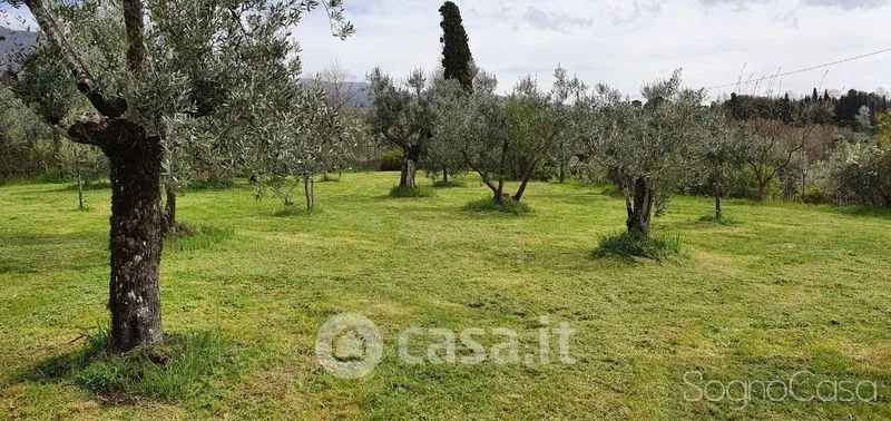 Jardin - Rustic Tuscan Farmhouse with Pool in Reggello