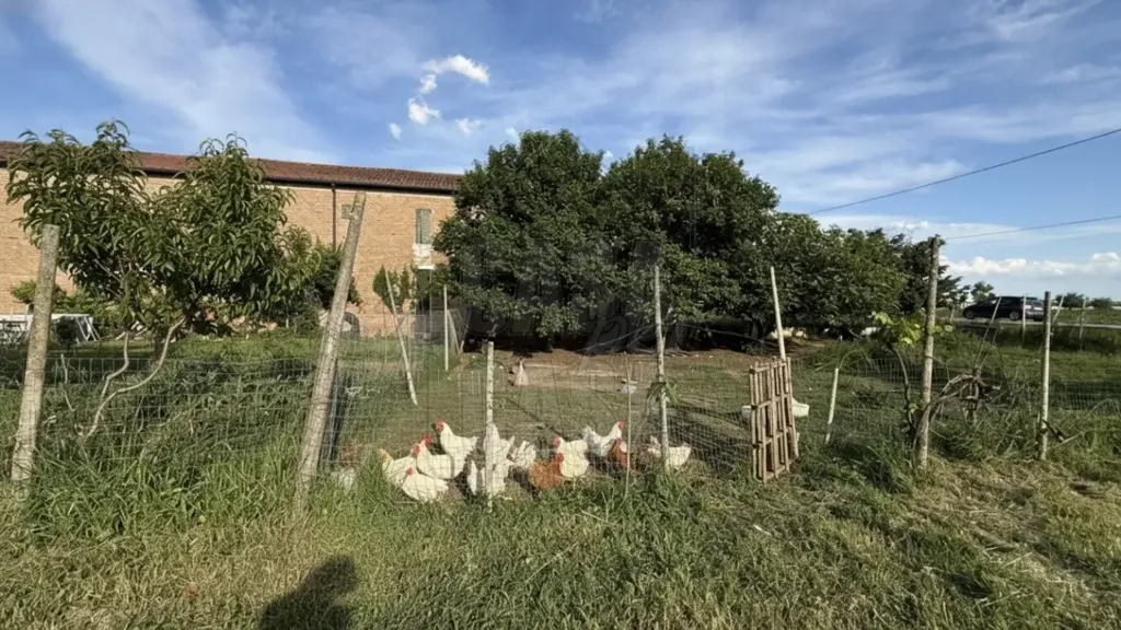 Exterior - Villa with Private Garden in Ospedaletto Euganeo