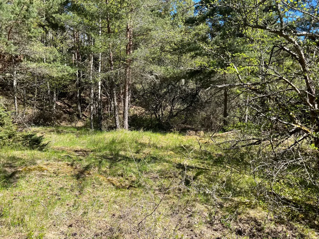 Aed - Plot for Dream Home with Water Access in Kungsborg