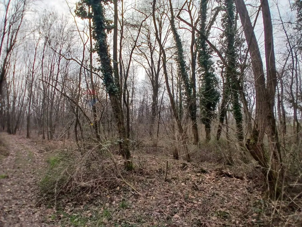 Jardín - Agricultural Land with Forest in Benna/Candelo