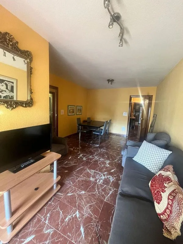 Living Room - Student Flat with Terrace in Villarejo, Granada