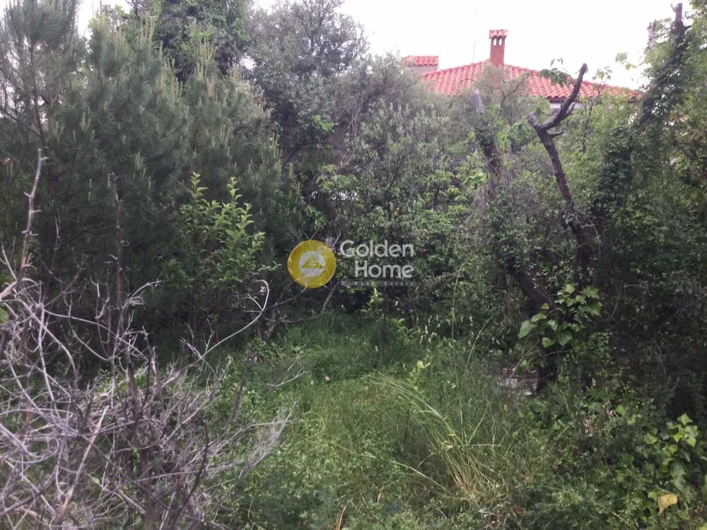 Aed - Buildable Plot with Mountain View in Peuka Centre