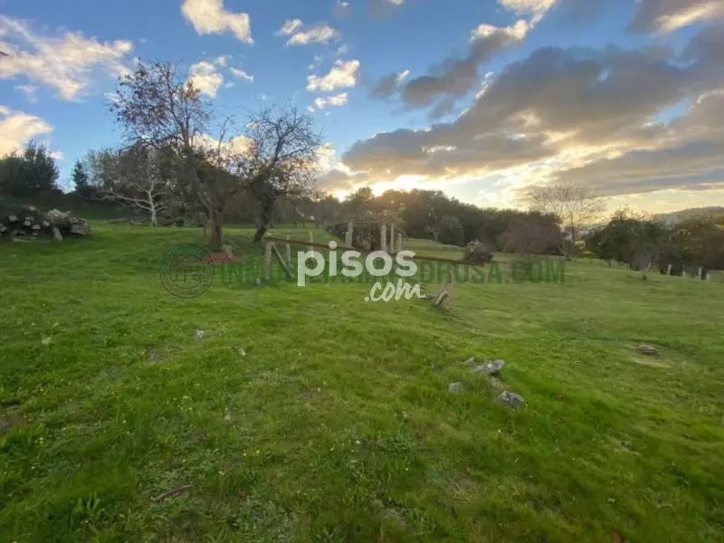 Jardin - Spacious House with Large Garden in Seixo
