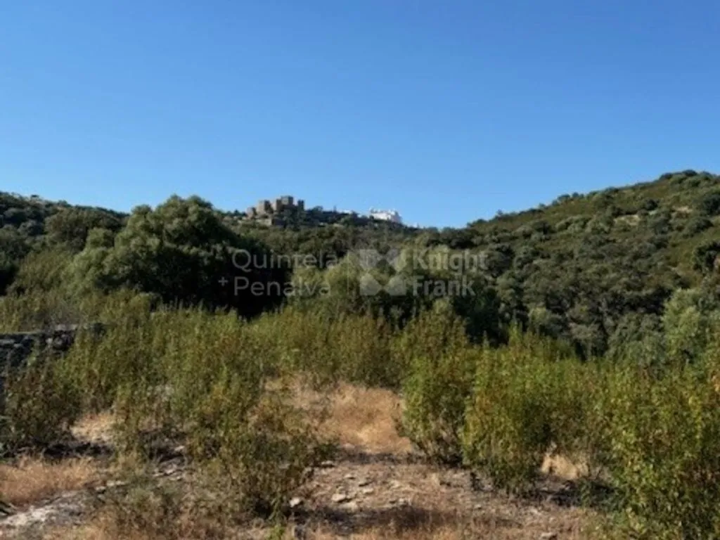 Aed - Development Land with Ruins near Monsaraz