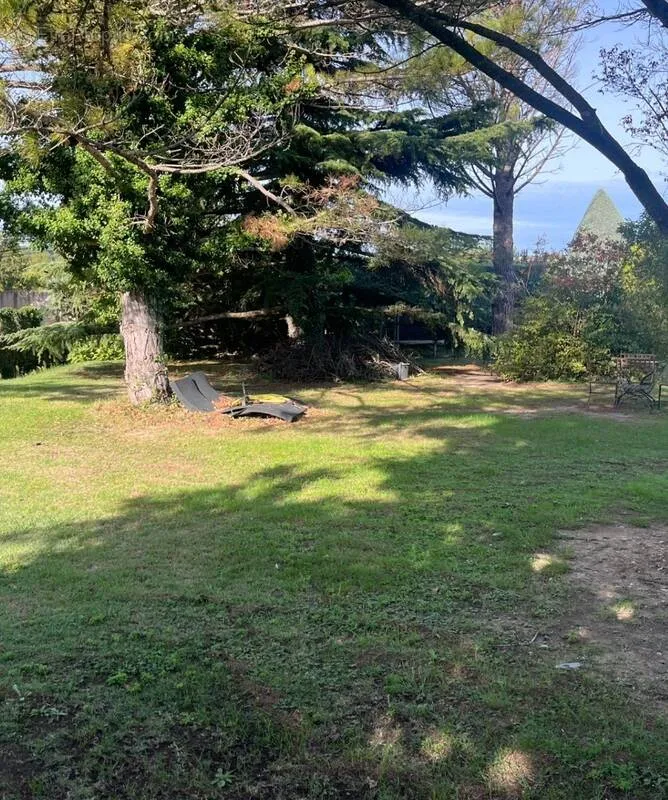 Jardin - Terrain Constructible avec Jardin à Sausset-Les-Pins