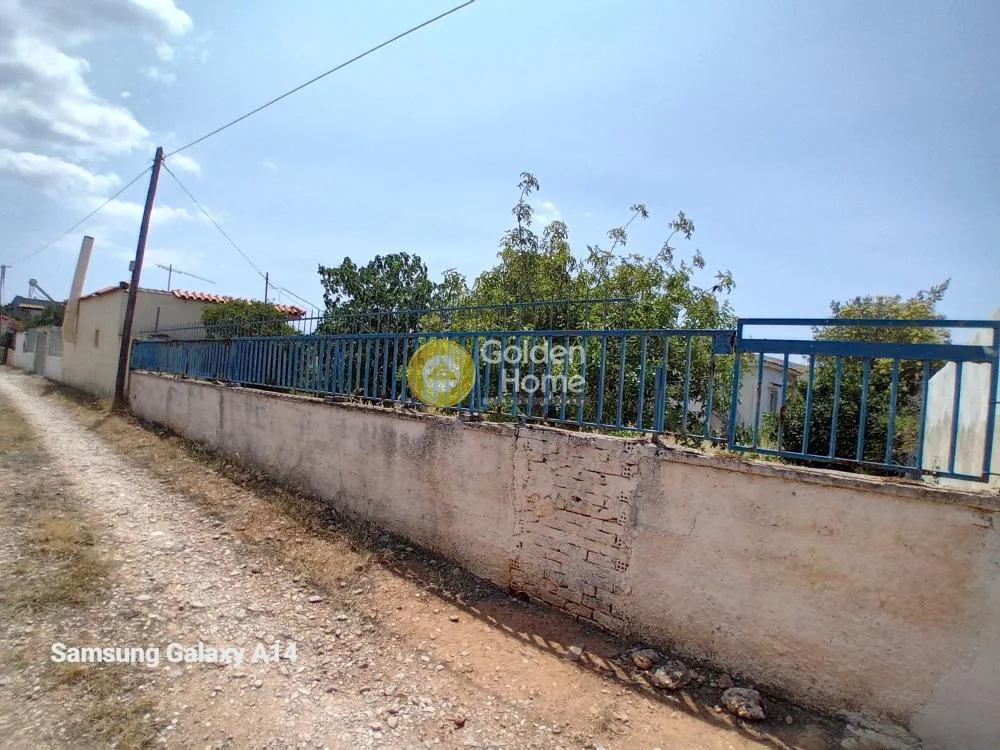 Jardin - Plot with Sea View in Kalivia-Lagonisi