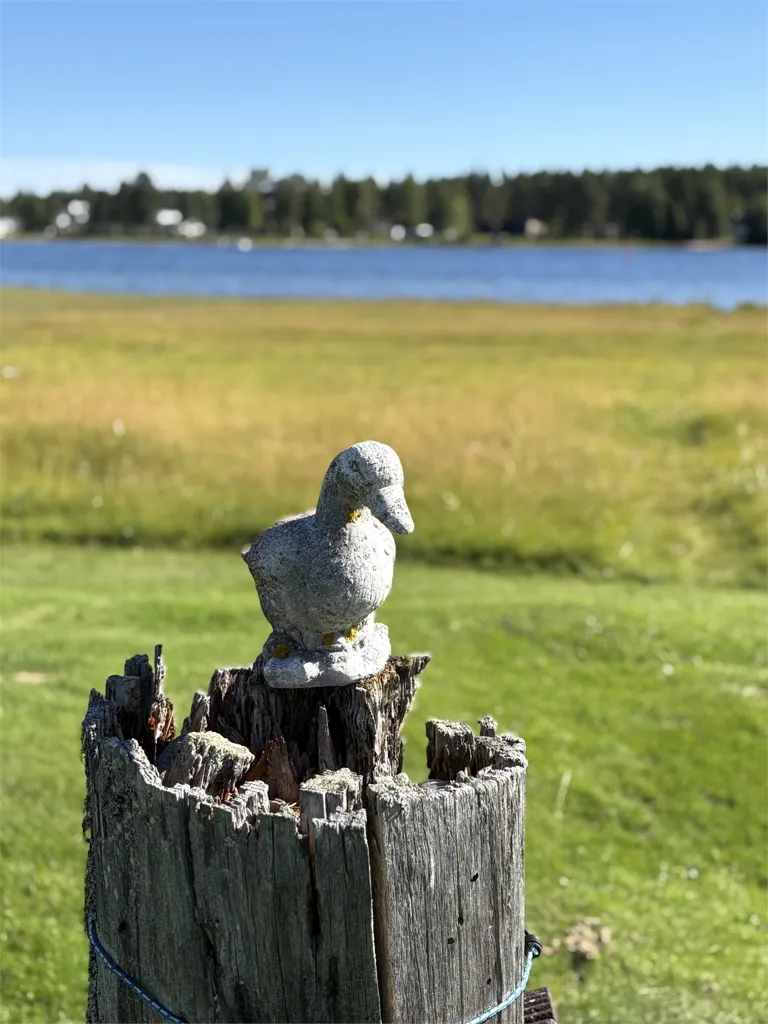 Jardin - Cottage by the Water in Pitsund