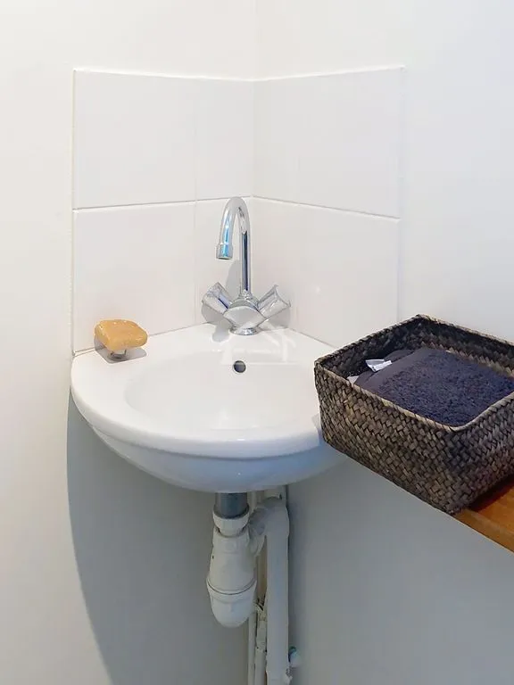 Salles de bain - Duplex Lumineux avec Terrasse à Antony