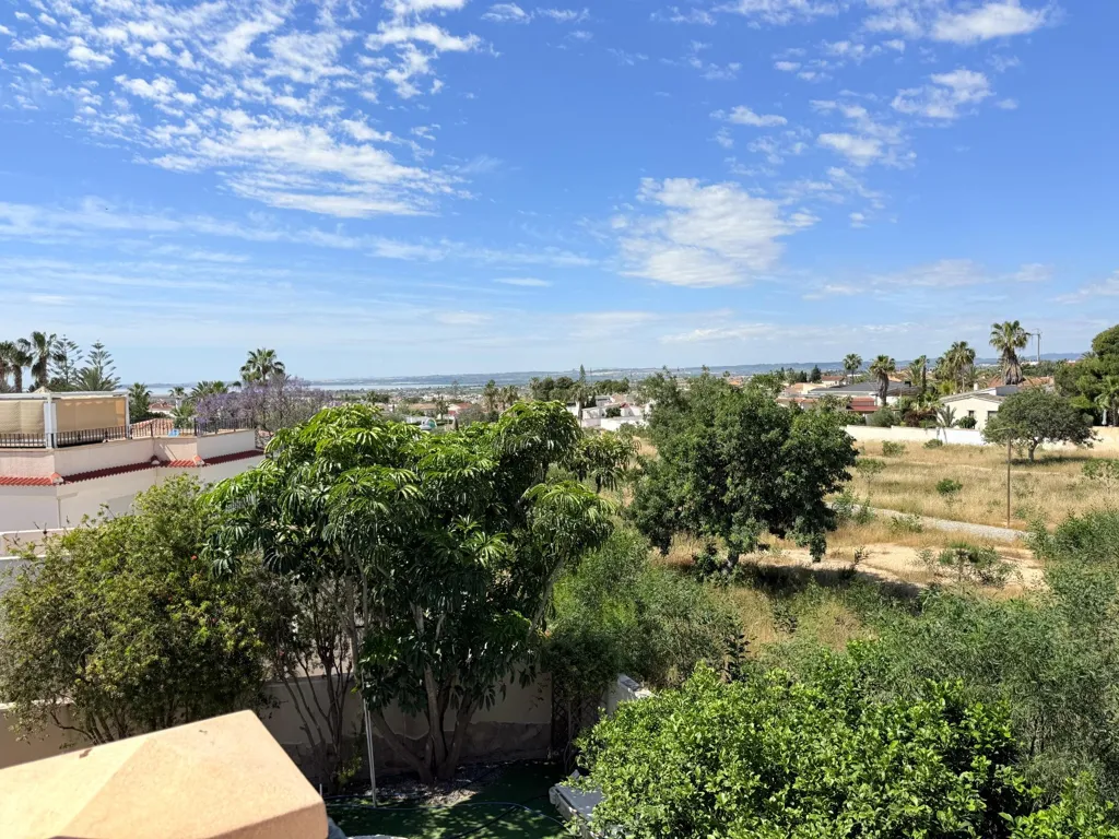Jardin - Luxury Villa with Pool in Ciudad Quesada