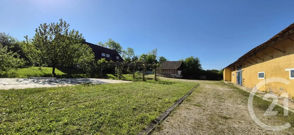 Jardin - Maison de Prestige avec Piscine à Saint-André-en-Bresse