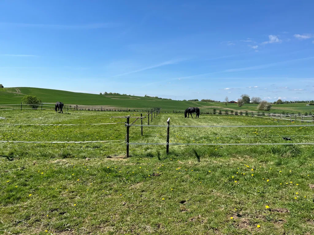 Jardin - Renovated Farmhouse with Equestrian Facilities in Vejle