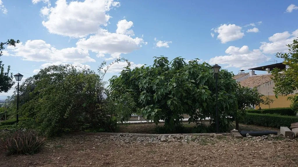 Aed - Chalet with Pool and Garden in Cajar