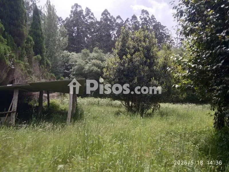 Jardín - Casa rural con jardín en Cedeira, A Coruña