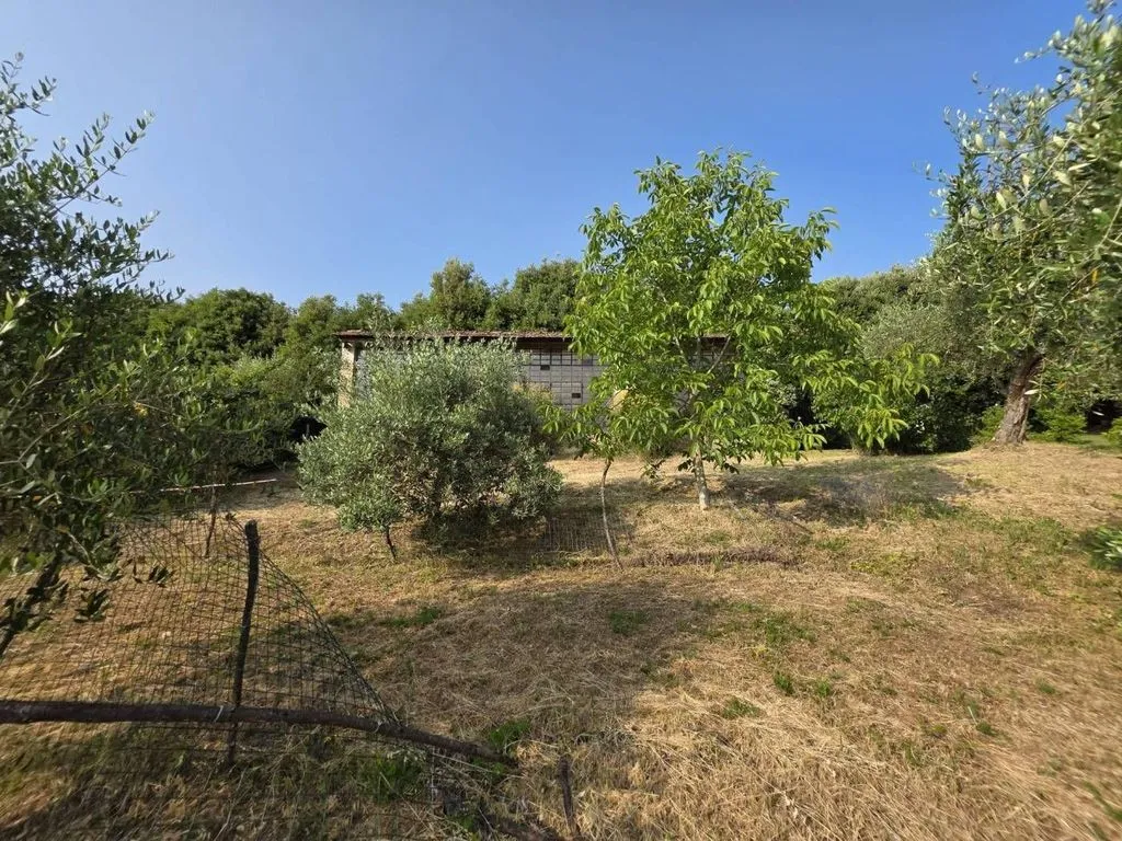 Garden - Baroque Villa with Private Garden in Siena