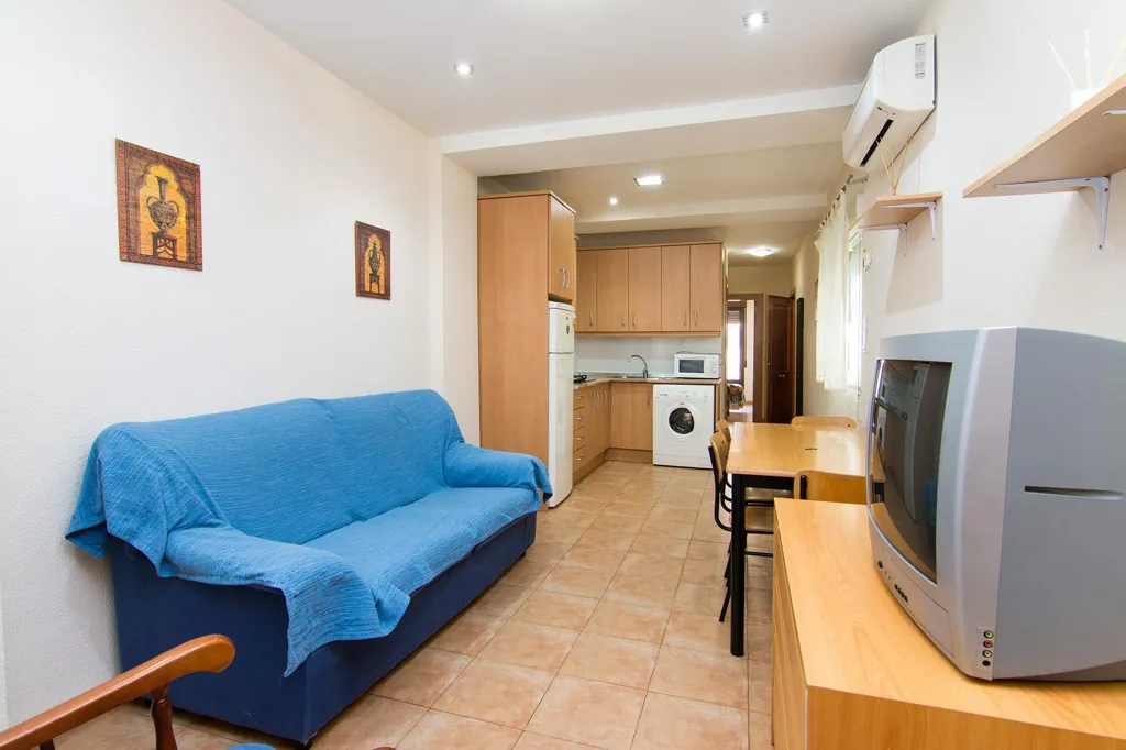 Living Room - Rehabilitated Building with Terraces in Granada Centre
