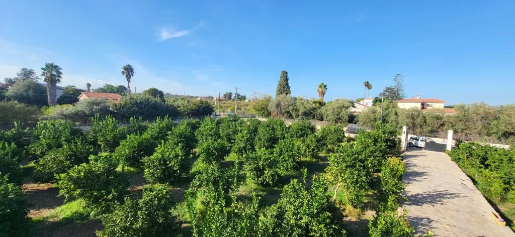 Garten - Villa with Lemon Trees near Fontane Bianche, Siracusa