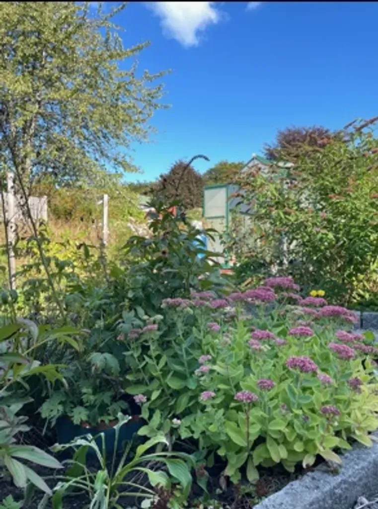 Jardin - Renovated House with Garden in Vargön