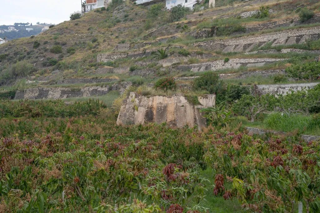 Development Land with Sea View in Salobreña