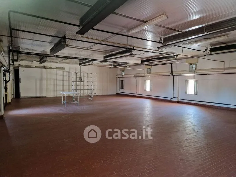 Toad - Mixed-Use Rustico with Industrial Space in Falconara Marittima