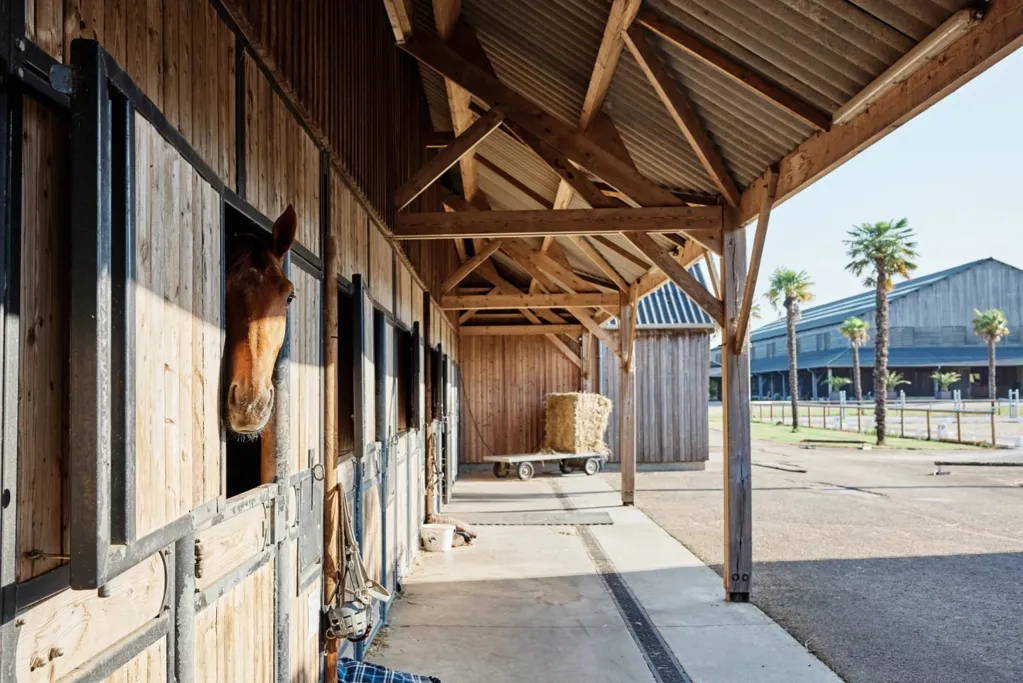 Exterior - Exceptional Haras with Professional Facilities near Nantes