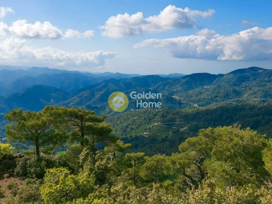 Extensive Land with Forest View in Lemessos