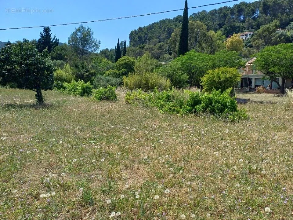 Aed - Sunny Plot with Garden in Sollies-Pont