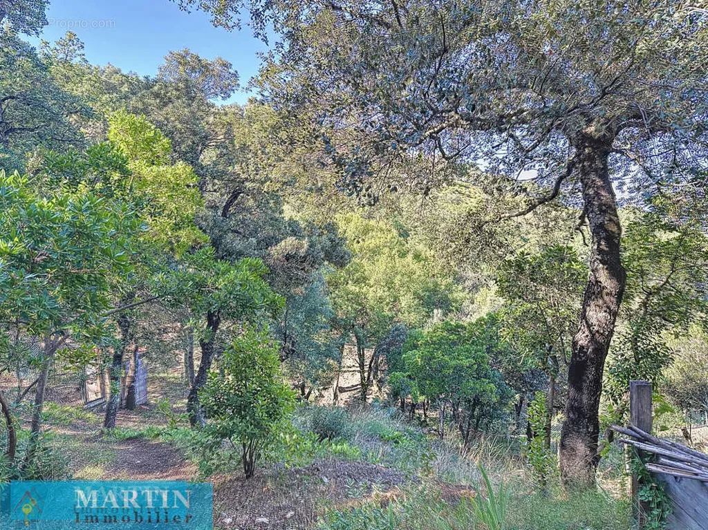 Aed - Villa with Garden View in Le Boulou