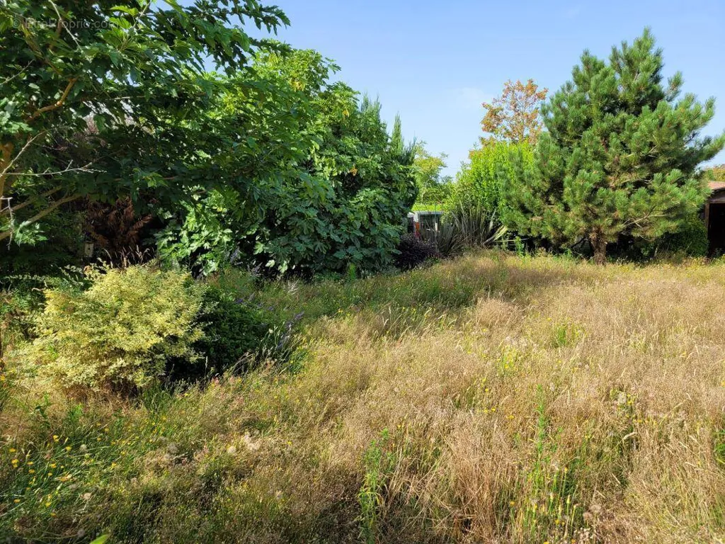 Aed - Buildable Plot in Beguey