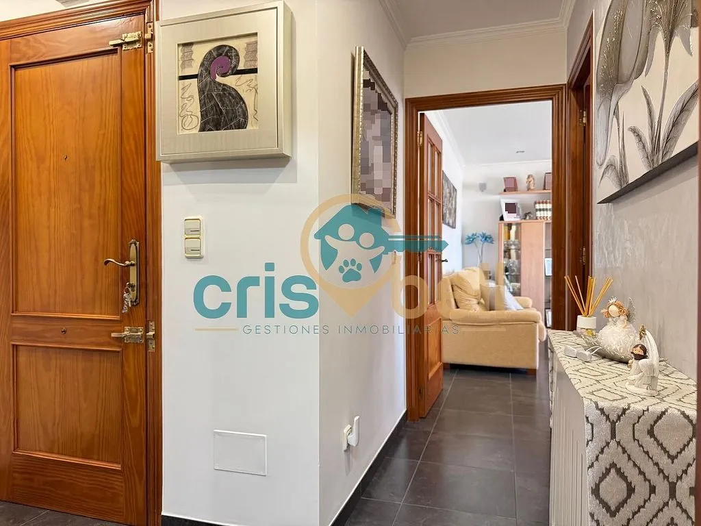 Esik - Spacious Apartment with Terrace in San Cristóbal