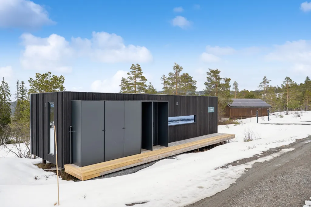 Extérieur - Architect-Designed Cabin with Ski Access in Omgi Blefjell