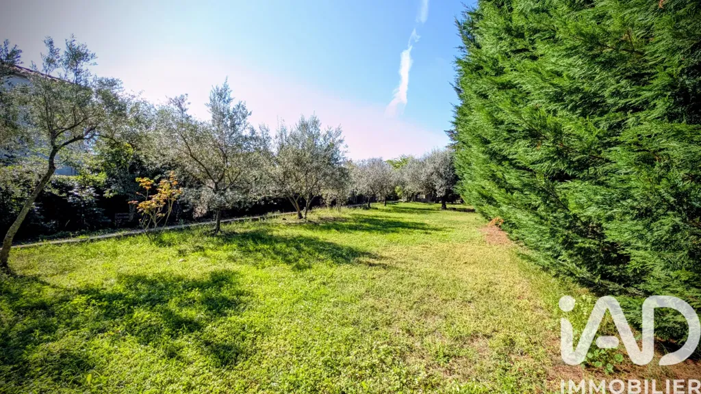 Jardin - Maison avec Grand Terrain Arboré à Sarrians