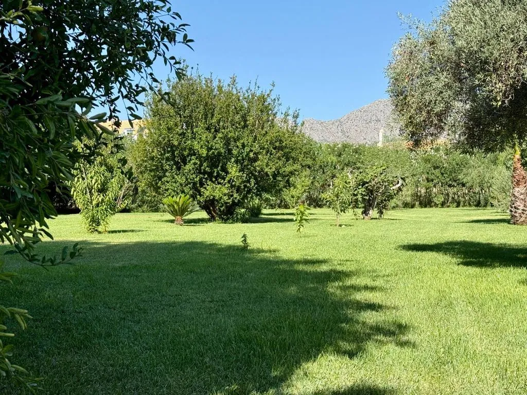 Jardin - Luxury Villa with Two Residences in Ondara