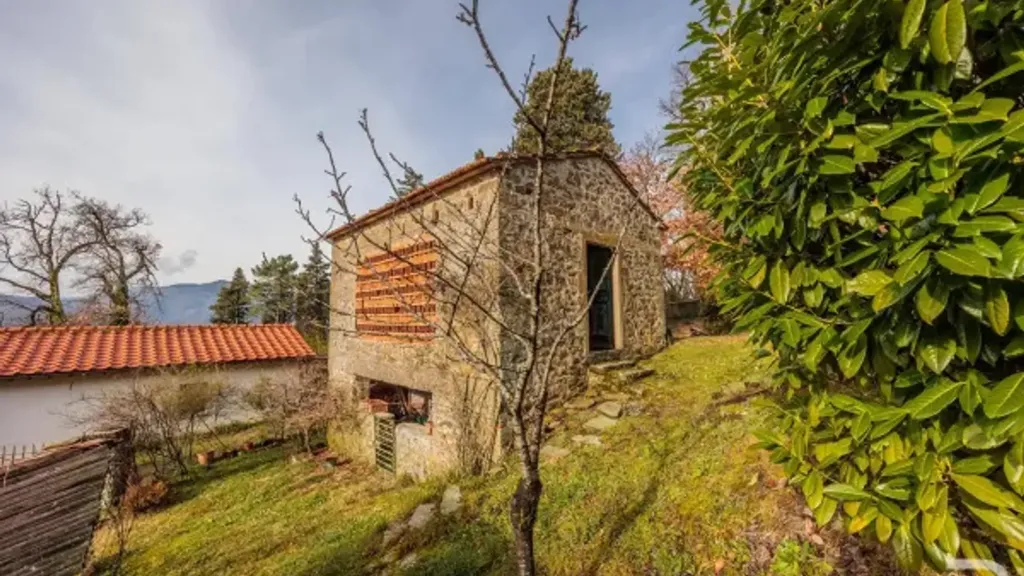 Extérieur - Rustic House with Olive Grove in Selvapiana