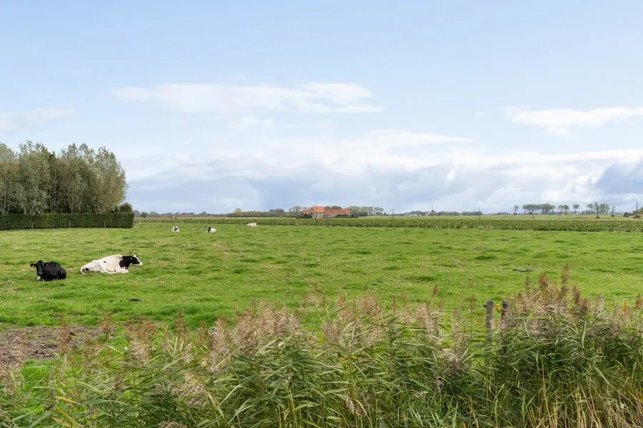 Jardin - Villa Nouvelle Construction avec Piscine à Knokke