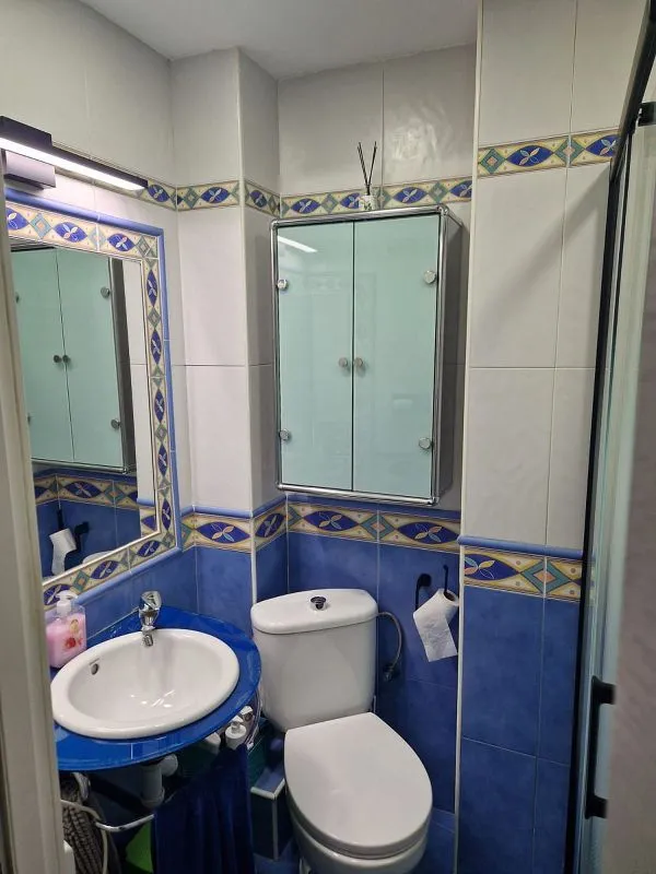 Salles de bain - Fully Renovated Flat with Terrace in Talavera Centre