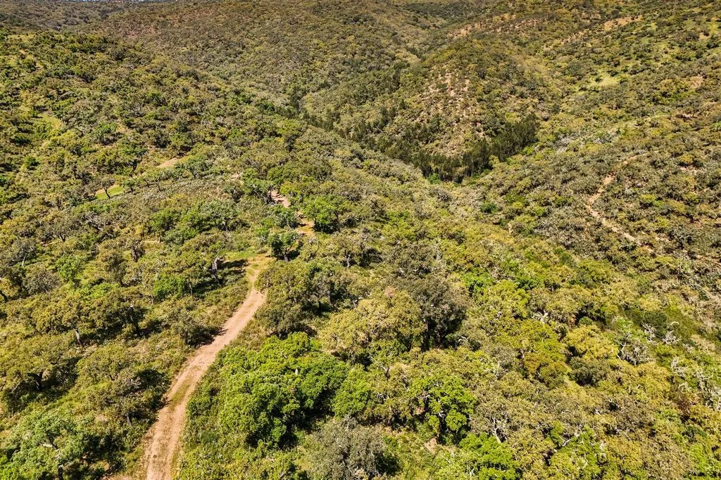 Õhuvaade - Rustic Development Land in Grândola