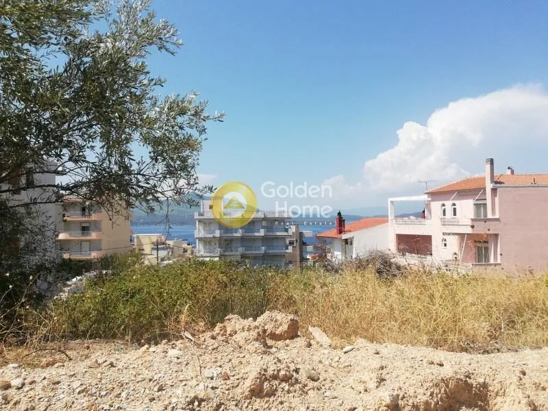 Jardin - Villa with Sea View in Aeghion