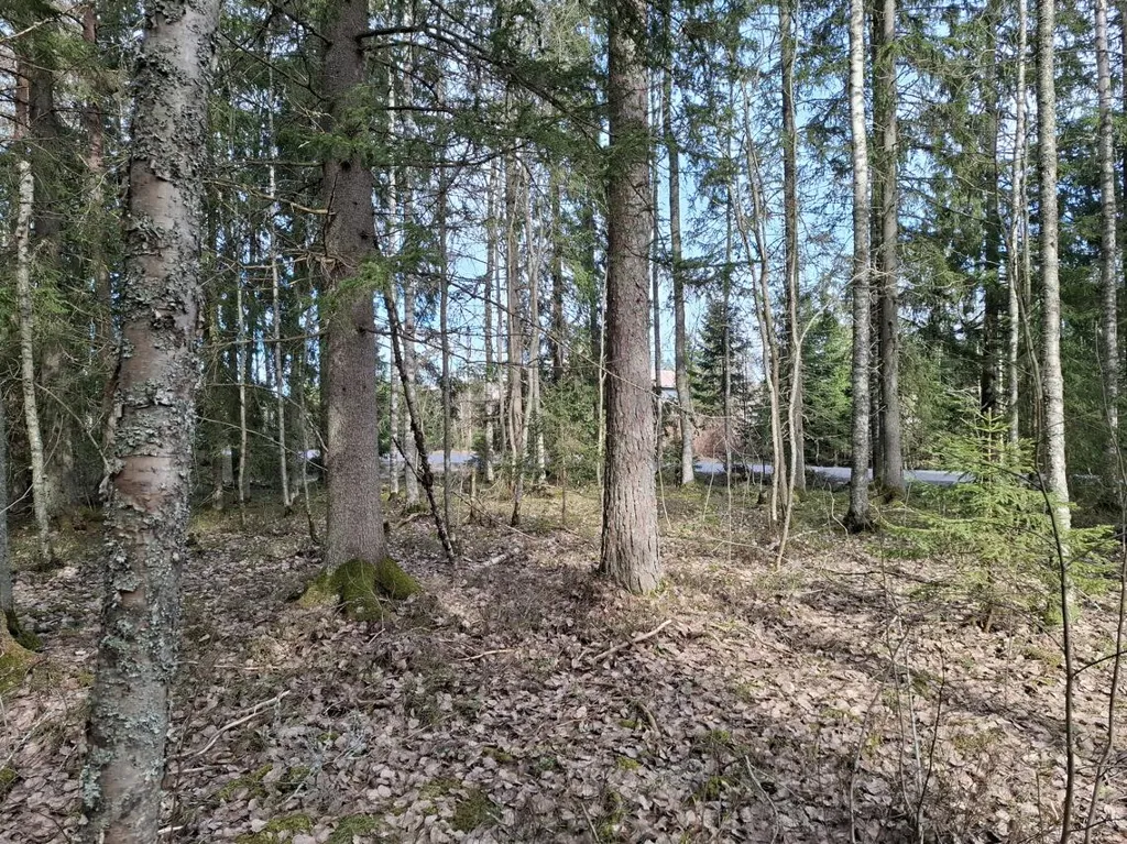 Maa asukohas Ylöjärvi