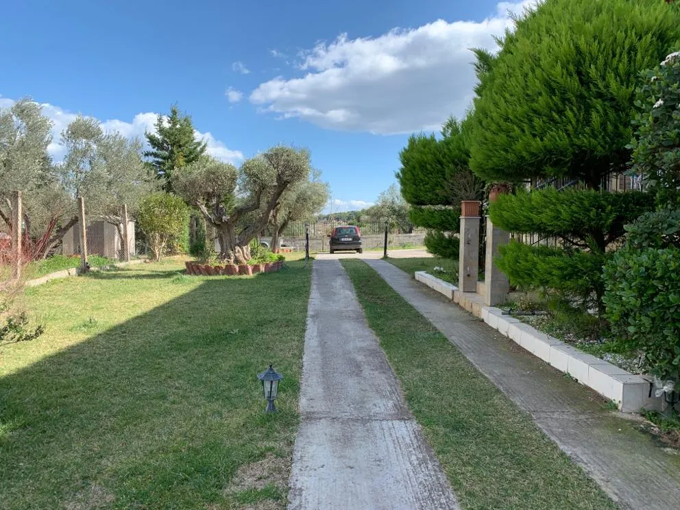 Jardin - Villa with 3 Houses in Oropos