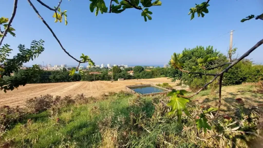 Aed - Rustic Casale with Sea View in Senigallia