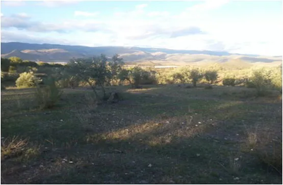 Garden - Buildable Land in Alboloduy, Almería