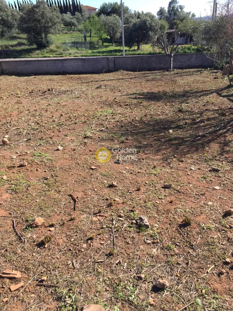 Aed - Plot with View in Paiania - Sparoza