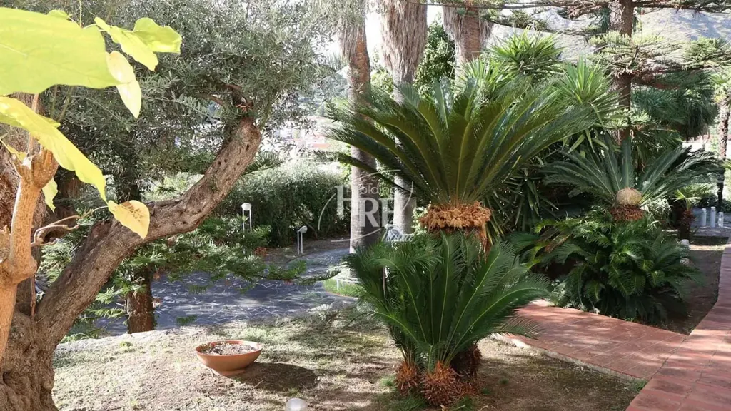 Jardin - Architectural Villa with Central Staircase in Amantea