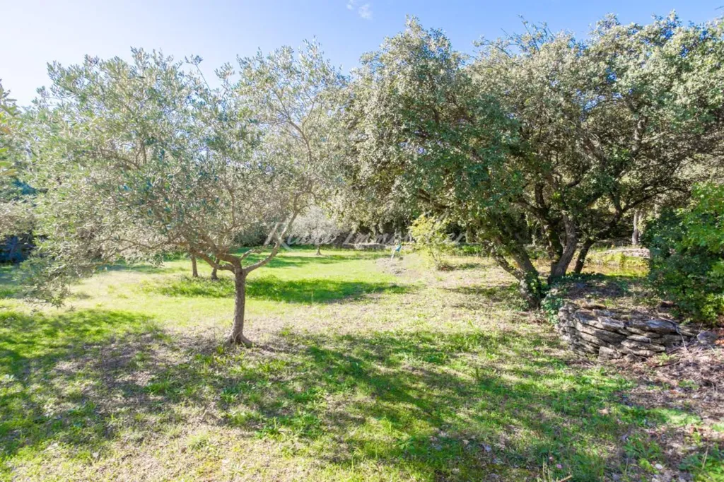Aed - House with Pool and Luberon View in Cabrières-d'Avignon