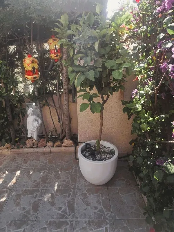 Jardin - Terraced House with Pool in Los Balcones