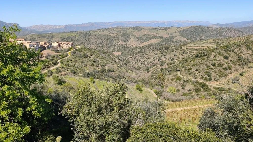 Boutique Vineyard with Winery in Priorat