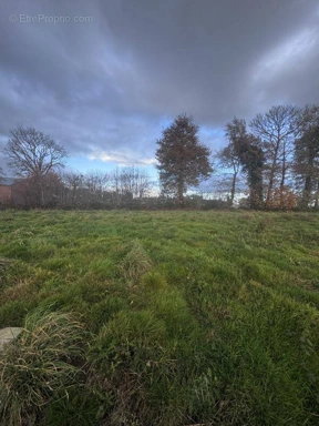 All Photos (1) - Buildable Land in Parthenay-De-Bretagne