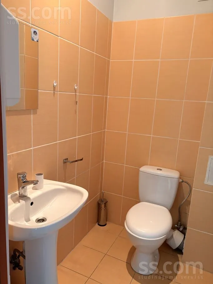 Salles de bain - Apartment with Enclosed Garden in Mežaparks, Riga