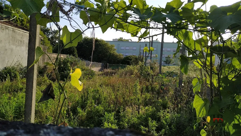 Jardin - Construction Plot with Dual Frontage in Maia