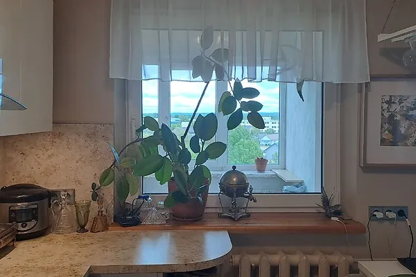 Kitchen - Flats for Sale with Balcony in Võru